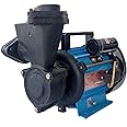 Lakshmi 0.5 HP Self Priming Mono Block Water Pump (Multicolour)