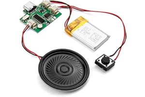 TEASTEAM Modulo audio di controllo tramite pulsanti 8MB, registrabile programmabile USB scaricabile MP3 Musica con altoparlante per biglietti di auguri personalizzati, regalo musicale creativo (verde)