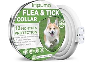 INPUMO Collare Antiparassitario Per Cani, Naturali antipulci per cane da 65 cm, Oli Essenziali Naturali Al 100%, Efficacia 12 Mesi con Ingredienti Antipulci per Cani e Antiparassitari per Cane (1 Pack)