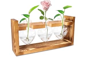 ENCURYNA Estación de propagación de cristal para plantas, de cristal con soporte de madera, jarrones pequeños vintage para decoración de mesa, jarrones modernos para plantas hidropónicas, tubos de ensayo