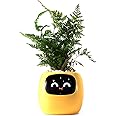 PLANTSIO Smart pet Planter Robot Guidance on Plant Care with Emojis, Adorable Plant Companion with Rich Gesture Interaction, Neat Desk Setup Gift (Yellow)