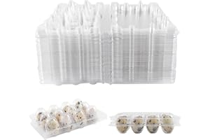 SOPHISTICATE Lot de 35 boîtes à œufs de caille - 12 grilles en plastique - Boîtes en PVC - Coquilles d'œufs transparentes avec couvercle - Boîte de rangement pour réfrigérateur