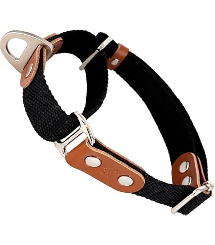 Galguita Amelie Martingale Hundehalsband | Sicher & Bequem, Verstellbar, Handgefertigt In Spanien, Für Windhunde & Alle Rassen
