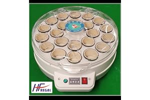 ROSETTA REGAL Snooker Pool Billiard Ball Electronic ball washing cleaning polishing machine