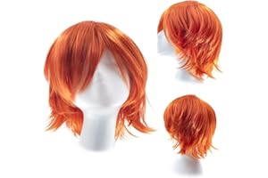 Gairyan Short Ginger Wig Cosplay Wig Unisex Anime Cosplay Wigs for Women/Men Straight Fluffy Wig Costume Theme Party Fancy Dress Wigs Halloween Wig Comic-Con Costumes Accessories