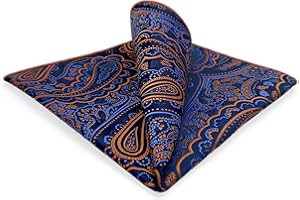 S&W SHLAX&WING Carré De Poche Paisley Traditionnel 32cm Costume Mariage Cérémonie Haut De Gamme