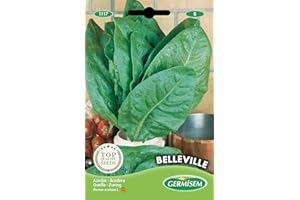 Germisem Belleville Semi di Acetosa 4 g