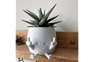 xinrongda Pot à Plantes Souriant avec Doigt du Milieu, Póts à Fleurs pour Plantés Succulentes, Home DéCor de Plantes Vertes, Pot à Fleurs pour Les Amateurs de Plantes pour L'IntéRieur et L'ExtéRieur