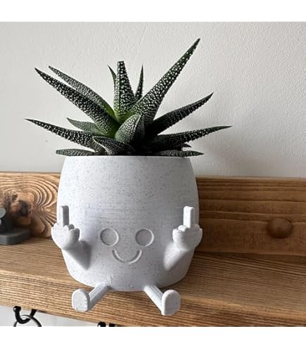 Keramische bloempot, vetplantenpot, grappig plassend mannetje