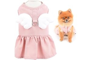SMALLLEE_LUCKY_STORE Angel Wing Vestido con Anillo en D para Perro, Vestido de Verano para Perros y Gatos pequeños, Cachorros Yorkie Chihuahua Ropa, Rosa, S