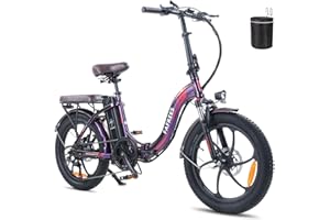Fafrees Bicicleta Eléctrica F20-PRO, 20 Pulgadas Plegable Bicicleta Urbana Eléctrica, 250 W Fatbike, 18Ah Batería, Rango de 70-130 km, E-MTB Unisex Adultos