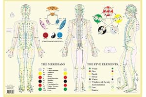 MERIDIANS FIVE ELEMENTSENG