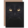 Black Cat - Close Up Photo Sealed Greeting Card Plus Envelope Blank inside