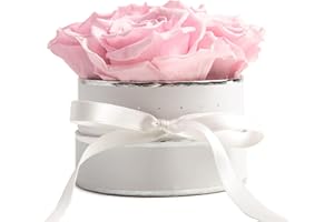 ‎ROSEMARIE SCHULZ HEIDELBERG ROSEMARIE SCHULZ Heidelberg Rosenbox rund Infinity Rosen Rosa - Blumenbox in Weiß 4 konservierte Rosen haltbar 3 Jahre - Geschenke für Frauen und Geschenke für Mama (Small, Weiß-Rosa)