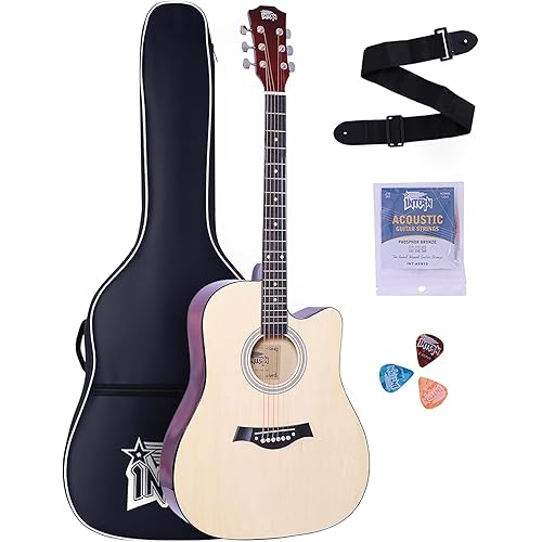 INTERN 41-Inch Acoustic Guitar for All | 6-String Right-Handed Guitar with Truss Rod, Gig Bag, Strings, Strap & Picks | Super