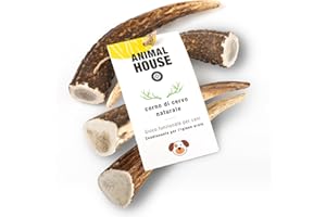 Animal House 4 Piezas Astas de Ciervo Enteras para Perros, Masticables 100% Naturales, Fortalece la Higiene Bucal, Resistentes y Duraderas, Disponibles en Todos los Tamaños (4, S)