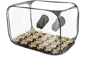 Fabater Kit de Monotub pour Champignons, Boîte à Air Fixe pour la Culture de Champignons, Sacs de Culture de Champignons, Tente de Culture de Champignons à la Maison