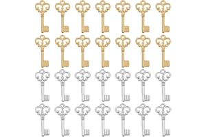 SUNNYCLUE 1 scatola 100 pezzi Ciondoli Chiave In Metallo Argento Sfuso Scheletro Chiave Fascino Mini Piccola Lega D'Oro Vintage Amore San Valentinos Fascino Sfuso per Creazione di Gioielli Ciondoli Da