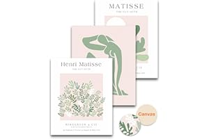 HesenDot Unframed Matisse Wall Art Set of 3,30x40CM Sage Green Wall Decor Exhibition Posters,Abstract Botanical Canvas Prints,Boho Home Decoration for Bathroom Living Room Bedroom Office