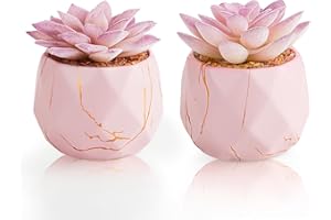 ZENIDA Set of 2 Artificial Succulents Plants in White Ceramic Pots, Mini Potted Plants, Small Decorative Fake Plants for Home, Office, Desk, Bathroom, Bedroom and Shelves Decor