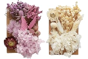 Hileyu Natural Dried Flowers Pressed Flowers 2Packs Mixed Multiple Natural Flowers Leaves Real Dried Pressed Flowers for Resin CraftsPendant Cakes DIY Jewellery Nail Art Scrapbooks (Beige+purple)