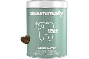 10-in-1 Zahnpflege Leckerli für Hunde - Fresh Smile 60 Snacks (175g) von mammaly - Gegen Mundgeruch, Zahnstein mit Pfefferminz, Seealge, Vitamin C, Petersilie u. v. m. für Maulhygiene, Mundpflege