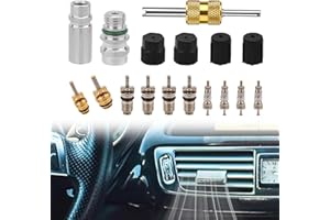 Gosknor 17pcs Air Conditioning Valve Core Kit for R12 or R134A, Teflon Seal Refrigeration A/C Service Schrader Valve Remover Car & HVAC AC System Charging Port Seal Caps Set with Disassembly Tool