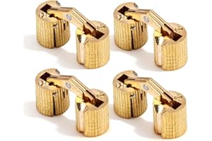 VOBOR Bisagra Barril,4 Piezas Bisagra de Barril Cilíndrico Latón Invisible,Mini Bisagras Ocultas 180°Ángulo de Apertura para Armarios Muebles Cajas de Joyería (10mm)