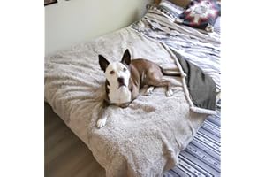‎KRITTER PLANET Kritter Planet wasserdichte Hundedecke, Urindichte Haustierdecke für Couchbett Welpen Katzen Fleece Sherpa Überwurfbett Autositz Protector Cover Flüssigkeitsdichte Decke für Große Hunde, 203 x 152 cm