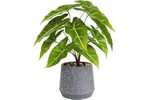 VERYHOME Artificial Plants Indoor in Pot Fake Succulents Plants in Potted 33cm Large Fake Green Plant Faux Green Leaf Potted for Home Desk Living Room Decor