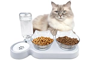 Ceisazira Cuenco de alimentación 3 en 1 con inclinación 15°, fuente de agua 500 ml, estilo moderno, todas las etapas de la vida (gris)