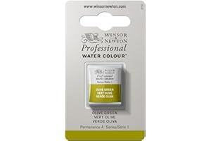Winsor & Newton Aquarelle Professionnel - Peinture Aquarelle, Haute Luminosité, Résistante à la Lumière, Qualité Archive, Demi Godet, Couleur Vert Olive