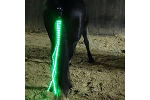 SSZYace Horse Equipment Reiten Schwanz Trappings Equestrian LED Flashing Light Bar Harness Outdoor Sports USB Charge Reiten Dekorationen (Grün)