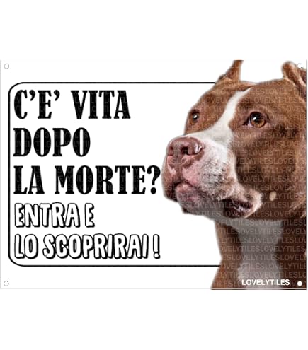 Danger malinois zone - CARTELLO ATTENTI AL CANE in Adesivo Resistente