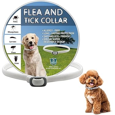Anti-Bell-Halsband Hund  3 Modi, IP65, Wiederaufladbar, Verstellbar 1960  Cm, Schwarz Antibellhalsband FRESSNAPF