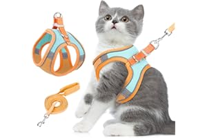 Eyein Cat Harness and Lead Set for Walking, Adjustable Soft Sturdy Faux Suede Escape Proof Kitten Vest Harness and leash with Reflective Strip for Large Medium Small Cats(Green & Orang, S)