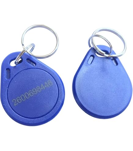 Lot De 6 Porte-Clés Rfid De Proximité 125 Khz Réinscriptibles Copiables