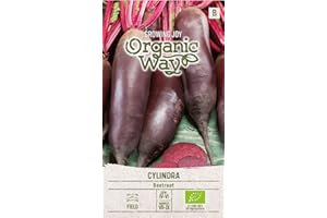 Organic Way | Semillas de REMOLACHA ROJA CYLINDRA | Semillas de hortalizas | 1 paquete