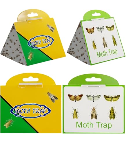 Guêpes Anti Mites Alimentaires PATTLER - Solution Naturelle Contre Les Mites De Nourriture - 4