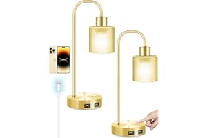 HESENDOT Touch Bedside Lamp, Set of 2 Fully Stepless Dimmable Edison Industrial Table Lamps with 2 USB Charging Port,Gold Nightstand Lamp with Eye-Caring Glass lampshade for Bedroom Living Room,2 Bulb Included