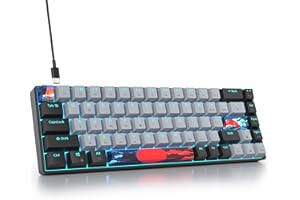 SOLIDEE tastiera da gioco meccanica al 65%,tastiera cablata compatta retroilluminata a LED RGB a 68 tasti con cavo USB di tipo C rimovibile,tastiera da con interruttore rosso lineare per Win(68 Dolch)