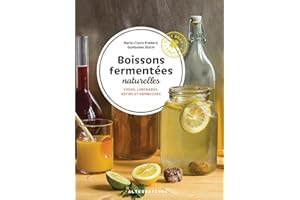 Boissons fermentées naturelles: Sodas, limonades, kéfirs et kombuchas
