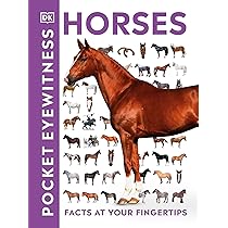 The Complete Guide To Caring For Your Horse De Bernadette Faurie 9781843305927