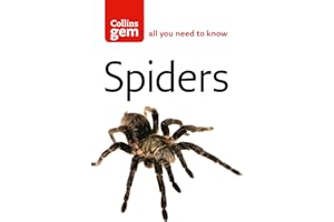 Spiders (Collins Gem)