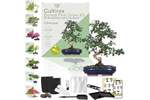 CULTIVEA® First Bonsai Kit – Grow Your Own Bonsai Tree Indoors – Complete Starter Set with Seeds & Accessories – Indoor Gardening Gift | Made in France (Carmona)