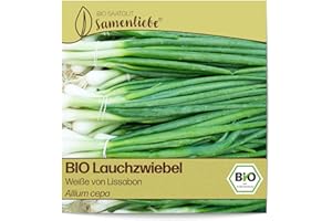 Samenliebe BIO Lauchzwiebel Samen Weiße von Lissabon 200 Samen samenfestes Gemüse Saatgut für Gewächshaus Freiland und Balkon BIO Gemüsesamen