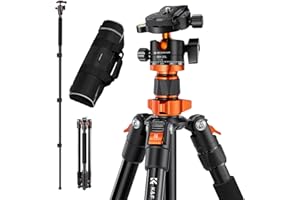 Camera Tripod, K&F Concept 62" Aluminum Tripod Monopod with Quick Release Plate, Ball Head and Compact Travel Carrying Bag for DSLR Canon Nikon Sony Camera O254A1+BH-28L (Old Model SA254M1)