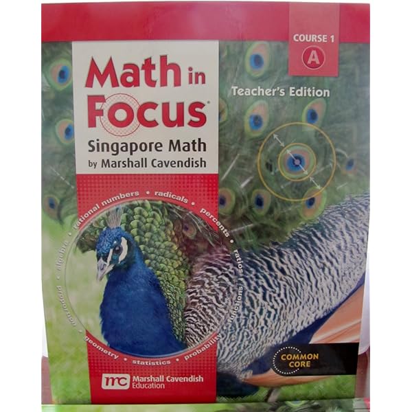 Math in Focus: Singapore Math Grade 6 (A): Volume a : Houghton