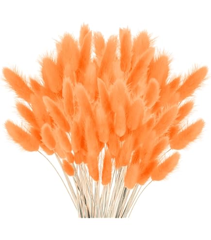 120 Tiges D'herbe De Pampa Séchées (queue De Lapin) - Longueur ~35 Cm, Couleur Noir/gris - Décoration Bohème Pour Vase