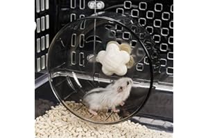 FAMKIT Rouleau en plastique acrylique super silencieux pour petits animaux de compagnie Hamster Guinée Pi